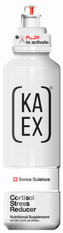 KA-EX_GO_CH.png
